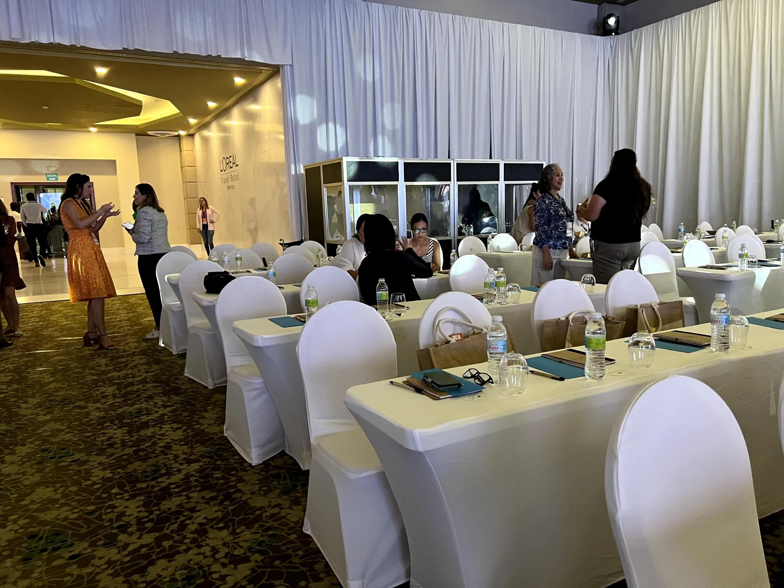 Consultoría para organización de eventos multilingües en República Dominicana